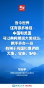 （近观中国）习近平：中美“相互成就、共同繁荣”是看得见、摸得着的实景